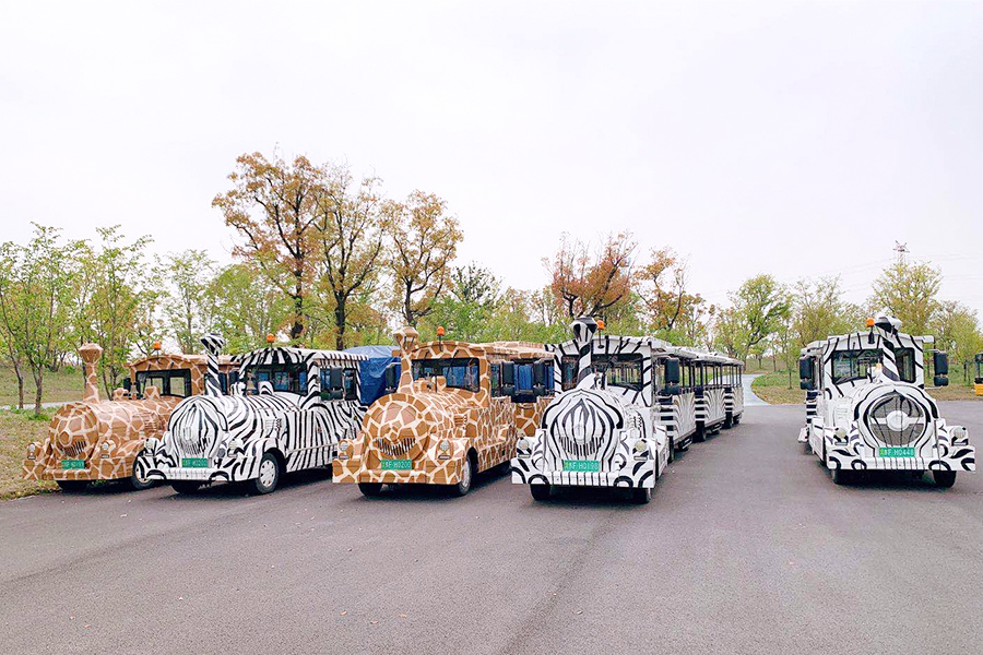 Halbgeschlossene Waggons im Back-to-Back-Stil, 24 elegante, große, gleislose Sightseeing-Züge