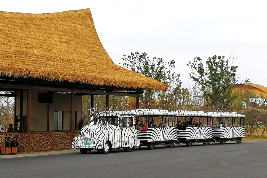 Halbgeschlossene Waggons im Back-to-Back-Stil, 24 elegante, große, gleislose Sightseeing-Züge