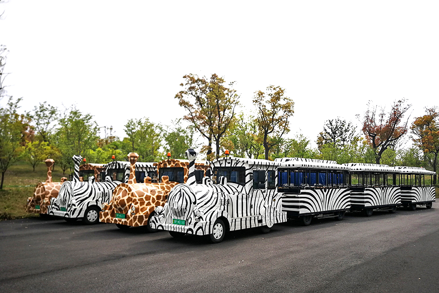 Halbgeschlossene Waggons im Back-to-Back-Stil, 24 elegante, große, gleislose Sightseeing-Züge